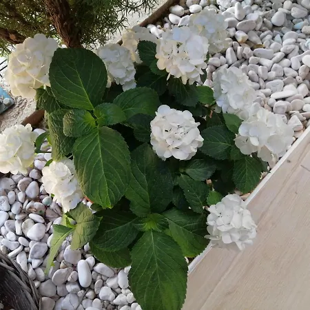 Natalija Apartmán *